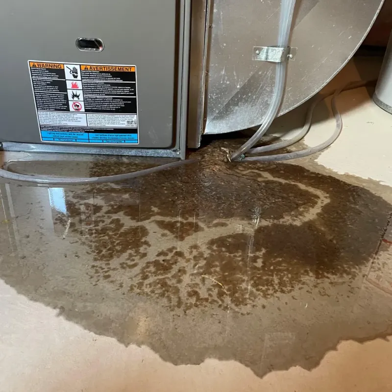 Appliance Leak Cleanup in Trego County, KS